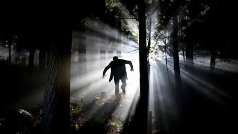 LDRS Monster stock image