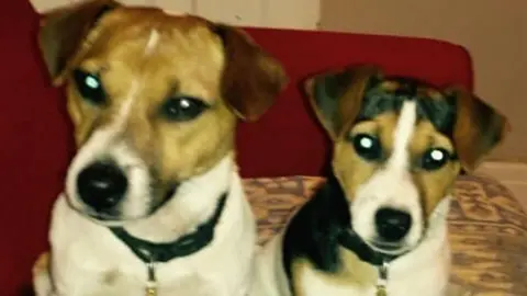 Kate Clayton Hannah and Dexter