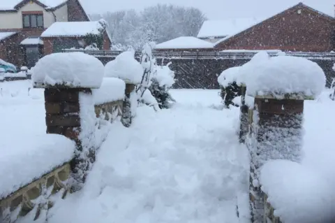 Mardling Madam Thick snow on garden wall