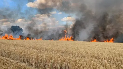 Ongar Fire Sation Fire in a field in Ongar