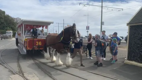 BBC Douglas horse trams 2022