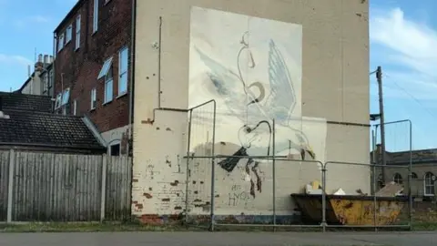 Paul Sheehan Banksy gull covered by sheet of plastic