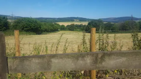 View from Michaelston-y-Fedw