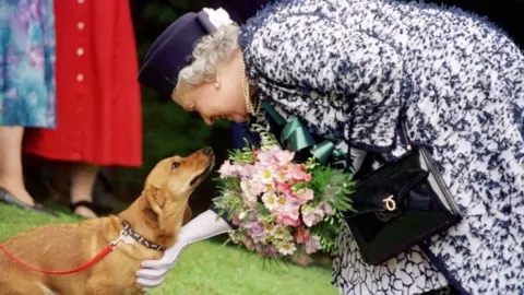 PA Media The Queen stroking a corgi