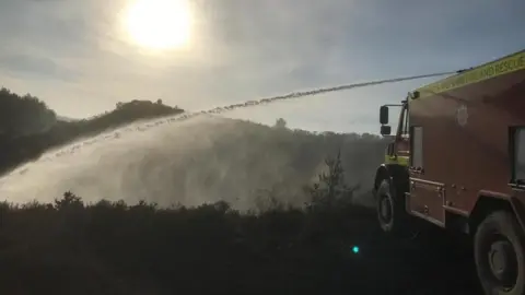 DWFRS Wareham Forest fire - Saturday