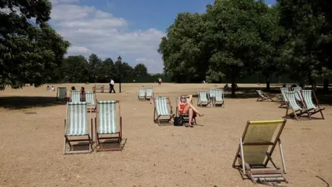 AFP Deckchairs in park