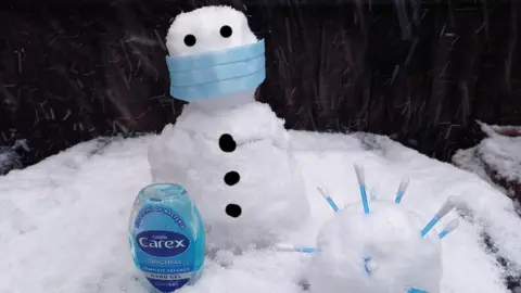 Pigeon/BBC Weather Watchers Ashford in Kent