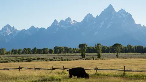 NurPhoto Jackson Hole