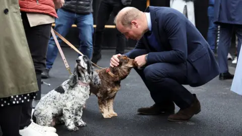 Getty Images William meets two dogs