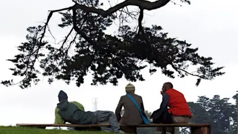 Men on a bench under a pine tree