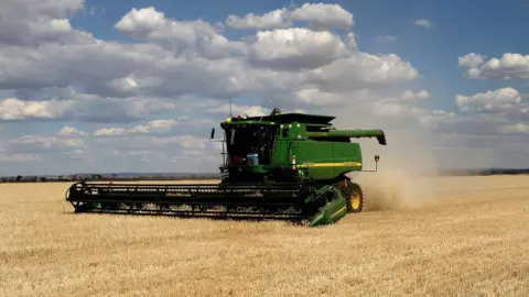 EPA Fields of barley in Western Australia