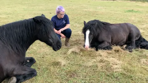 BBC Danielle and horses
