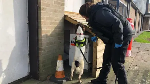 Sam Dutton, dog handler at Wiltshire Police, and three-year old Springer Spaniel “Digi-dog” Dora