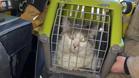 London Fire Brigade A cat sits inside a carrier held by a firefighter