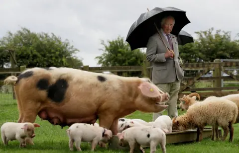 Kirsty Wigglesworth/Pool via REUTERS Prince Charles looks at a pig with her piglets
