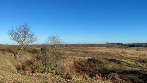 Tony Hallatt memorial reserve at Roydon Common, King's Lynn