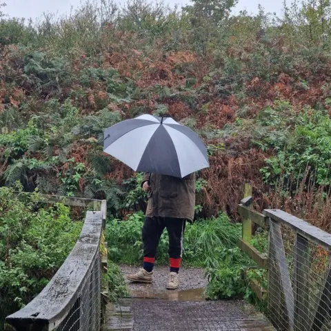 stacey johns FRIDAY - Gosport umbrella