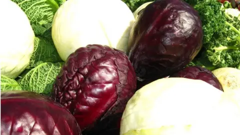 BBC cabbages
