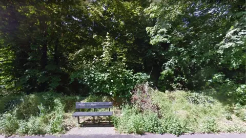 Google Clapham Woods