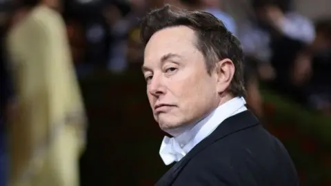 Getty Images Elon Musk