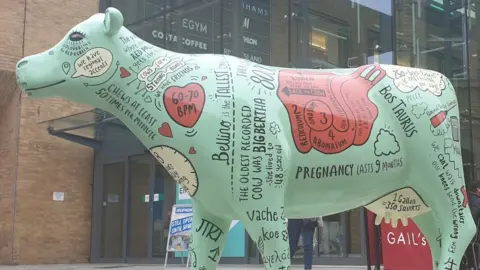 Cows About Cambridge Cow sculpture