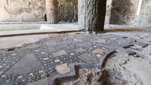Getty Images Pompeii floor mosaic