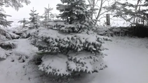 BBC Weather Watcher/The Landygirl Snow in Llangollen