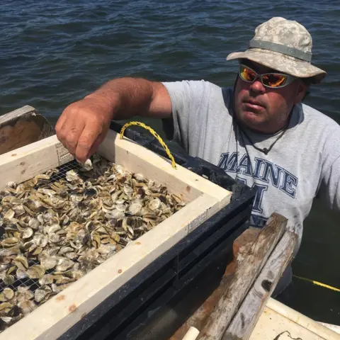 Bruce Silverbrand  Bruce Silverbrand with some of his oysters