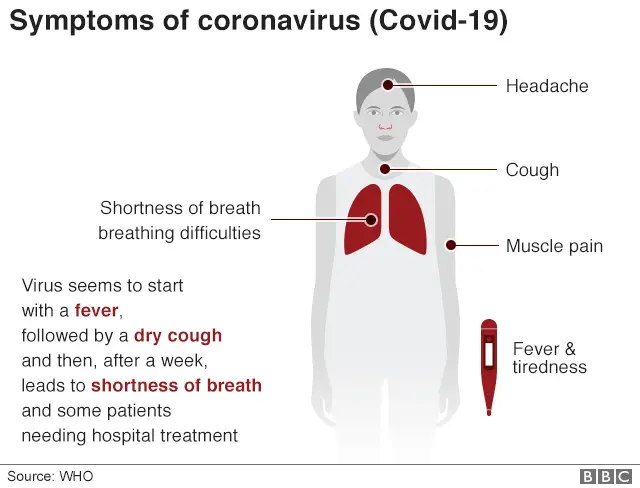 Infographic showing the symptoms of the coronavirus