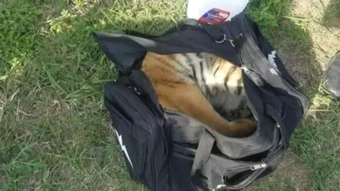 US Customs and Border Protection The tiger cub unconscious in a small black duffel bag