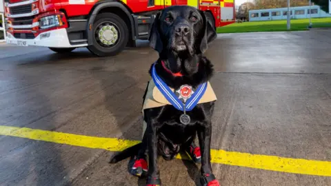 PDSA Reqs with his medal