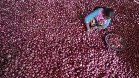 Reuters A labourer spreads onions for sorting at a wholesale vegetable market in the northern Indian city of Chandigarh