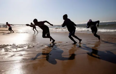 Reuters Fishermen pull in nets during the annual sardine run, in Winklespruit, near Durban, South Africa, July 1, 2022.