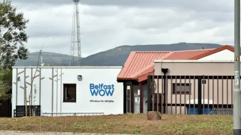 Albert Bridge/Geograph Belfast Window on Wildlife