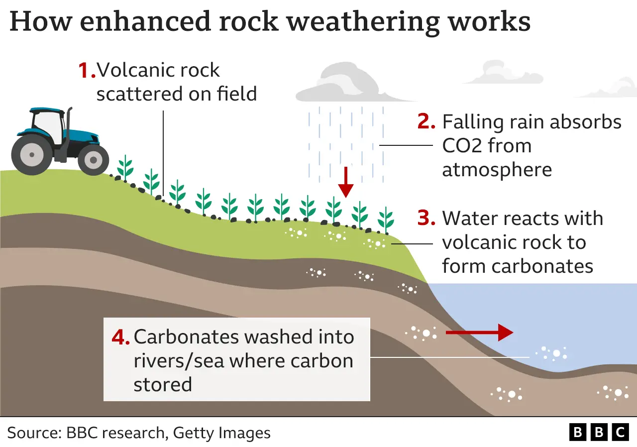 David Ross/BBC Graphic explaining enhanced rock weathering