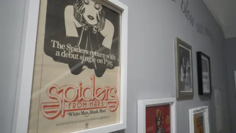 Alexander Davies Spiders House