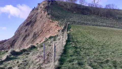 Dorset Council Landslip