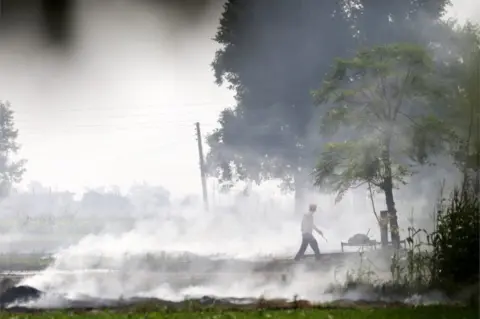 EPA An Indian villager walks amidst smoke that rises from paddy stubble burning in a nearby field at a village on the outskirts of Amritsar, India, 09 October 2018.