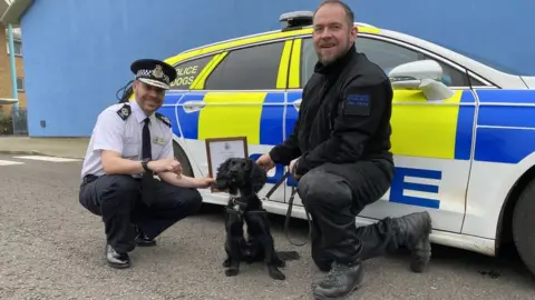 Gloucestershire Constabulary Police dog Marshall qualifying at Gloucestershire Constabulary