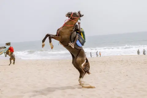 Grace Ekpu/BBC Horse rearing on the beach