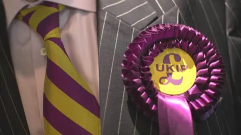 PA Media UKIP rosette