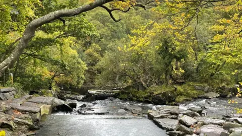 Weir on River Ogwen that feeds the plant