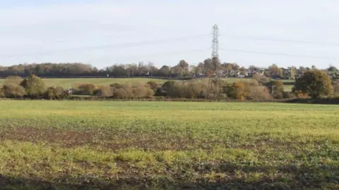 Photo of the site designated for the new homes, featuring a field, a line of trees and a pylon.