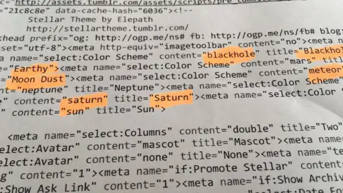 Will Chalk Code behind Taylor Swift's Tumblr page