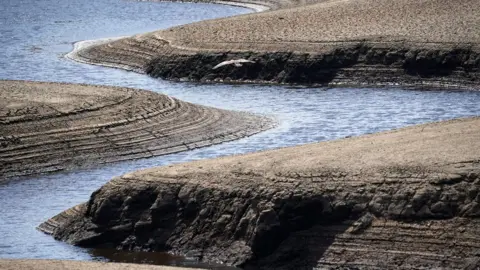 PA Media Low reservoir