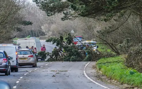 Getty Images Council workers and members of the public attempt to clear a fallen tree from the A394 road on 18 February 2022 near Penzance, Cornwall