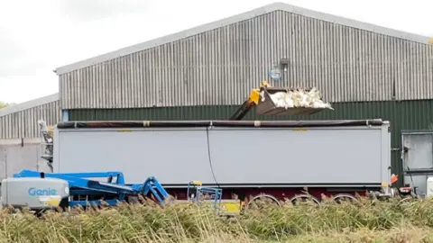 BBC Turkeys being loaded into lorry