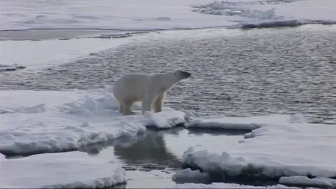 Students and graduates of Bangor University have an ambitious plan to re-ice the Arctic