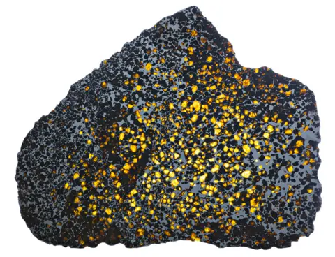 Trustees of the NHM Meteorite