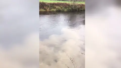 Stuart Llewellyn Sewage spilling into the River Conwy near some ducks